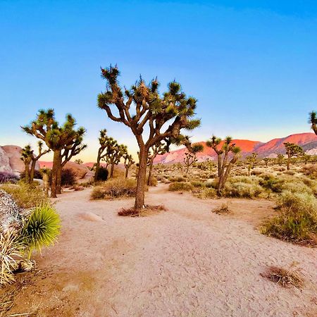 The Joshua Tree House Villa Bagian luar foto