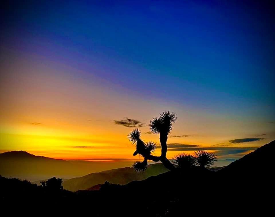 The Joshua Tree House Villa Bagian luar foto