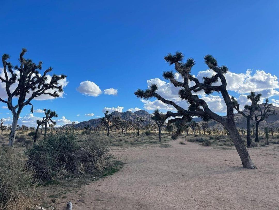 The Joshua Tree House Villa Bagian luar foto