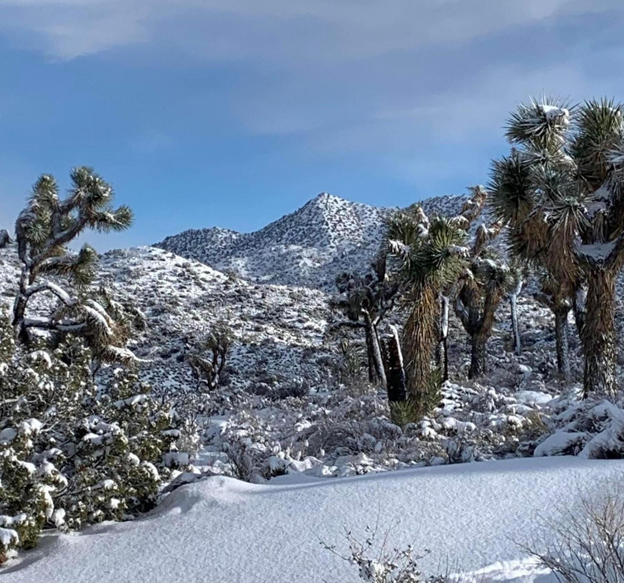 The Joshua Tree House Villa Bagian luar foto